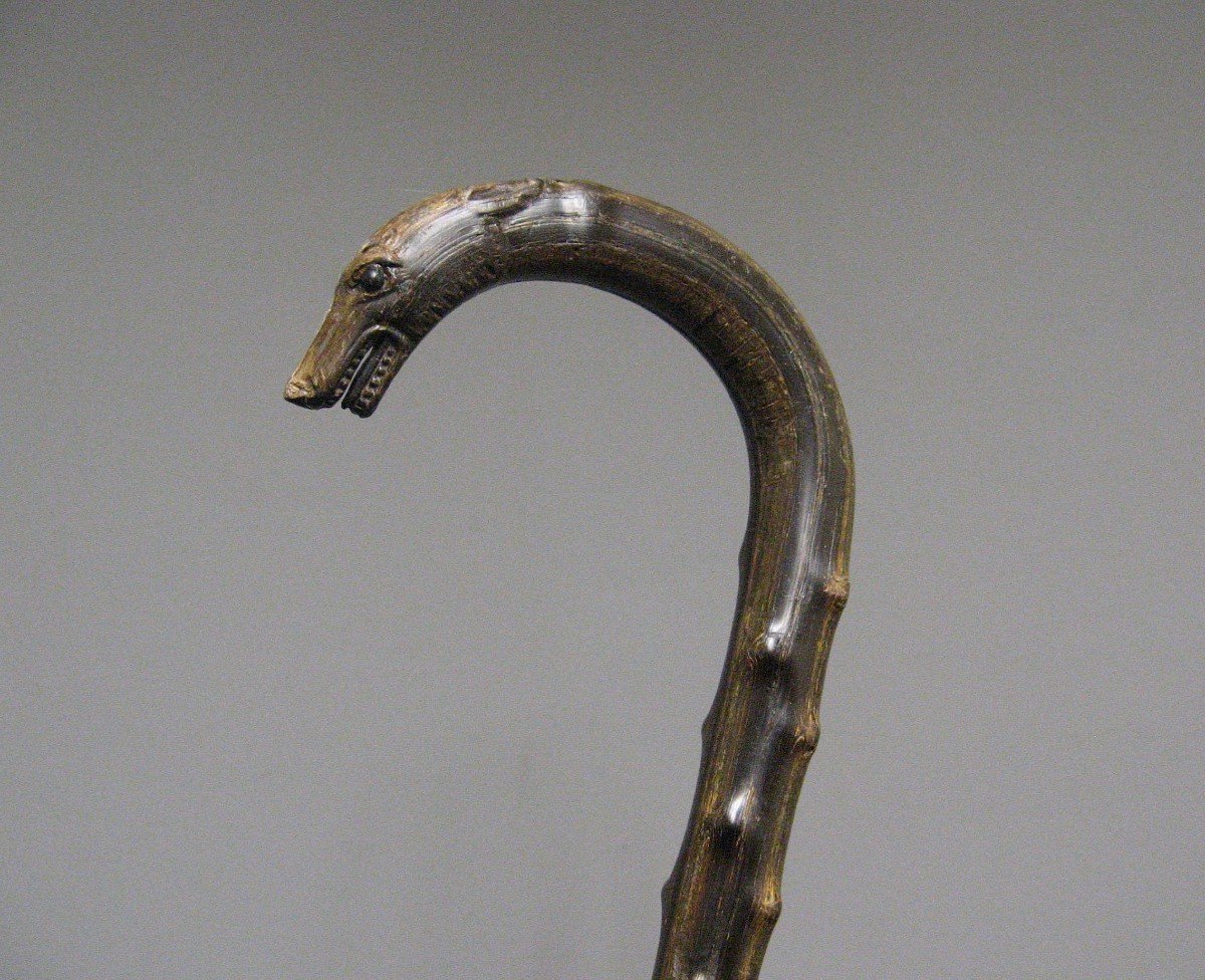 Greyhound Head Monoxyl Horn Cane.-photo-2