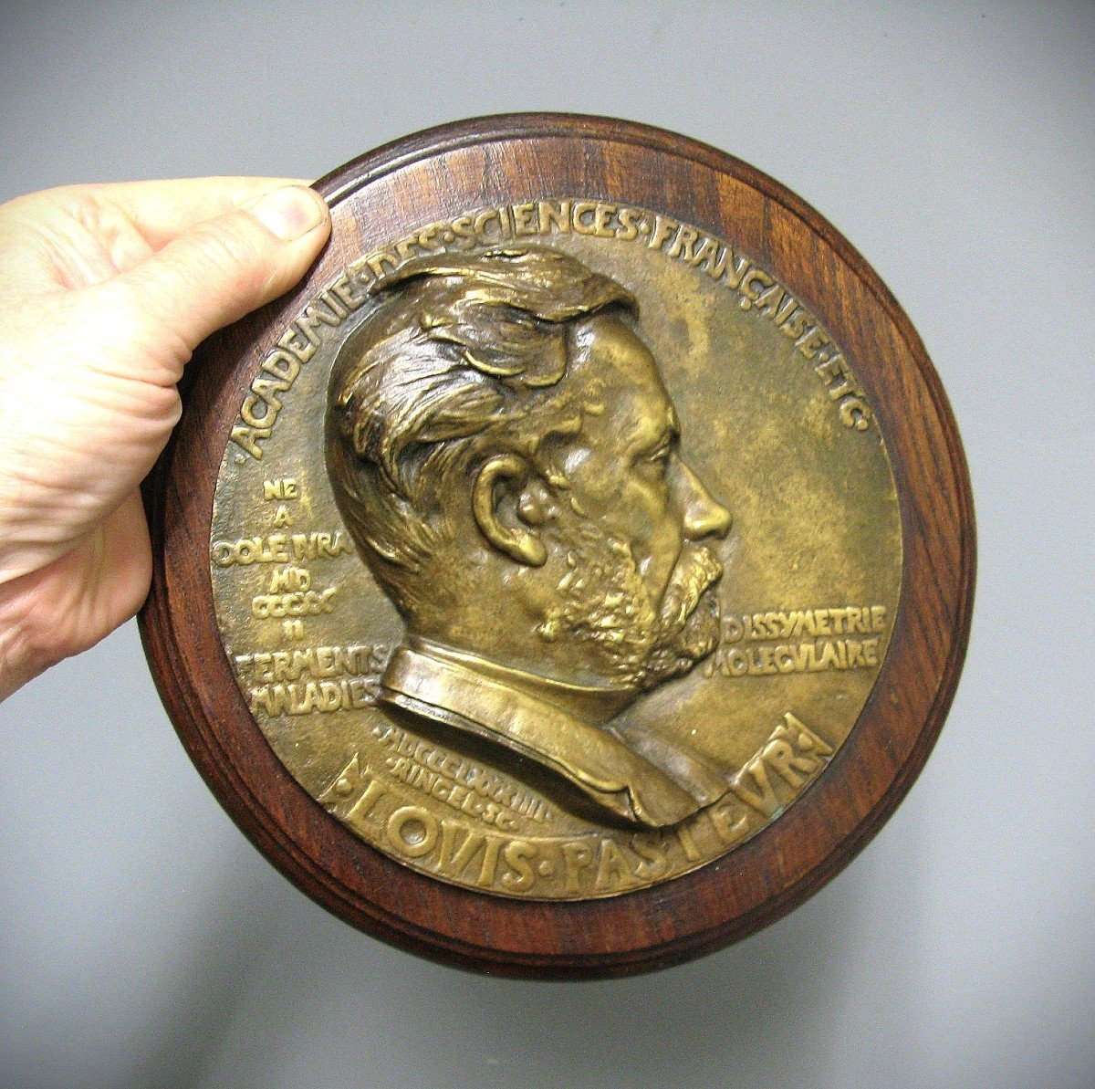Louis Pasteur Bronze Medallion By Ringel d'Illzach.-photo-3
