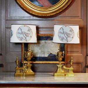 Pair Of Louis XVI Style Bronze Fireplace Fronts Mounted As Lamps
