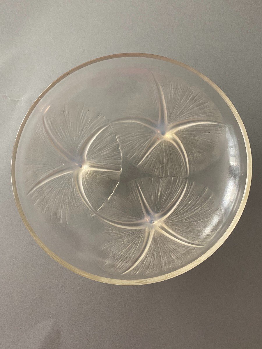 René LALIQUE  Coupe “volubilis” en verre pressé moulé, signée R. Lalique France-photo-1