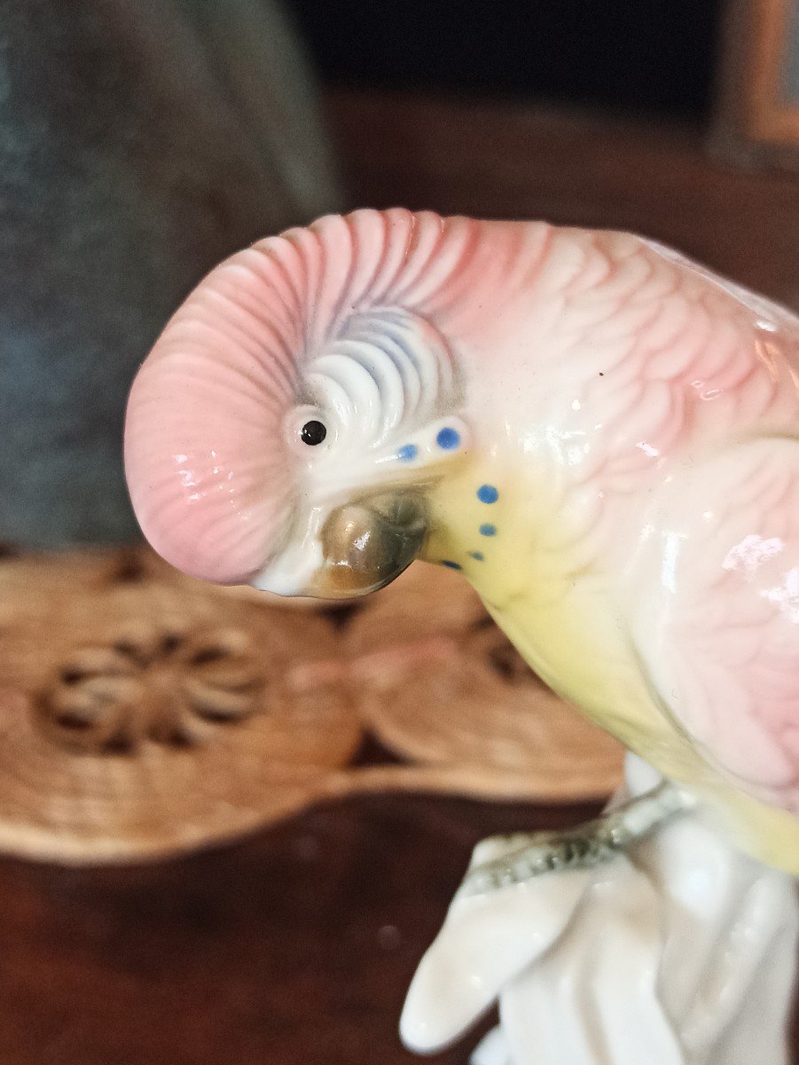 Saxon Porcelain Parakeet, Karl Ens Manufactory, Circa 1900-photo-3