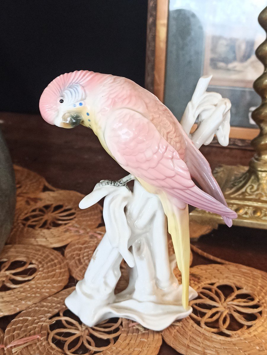 Saxon Porcelain Parakeet, Karl Ens Manufactory, Circa 1900-photo-1