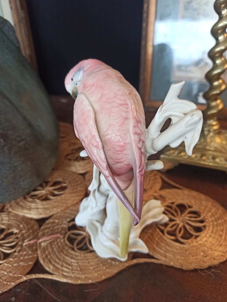 Saxon Porcelain Parakeet, Karl Ens Manufactory, Circa 1900-photo-2