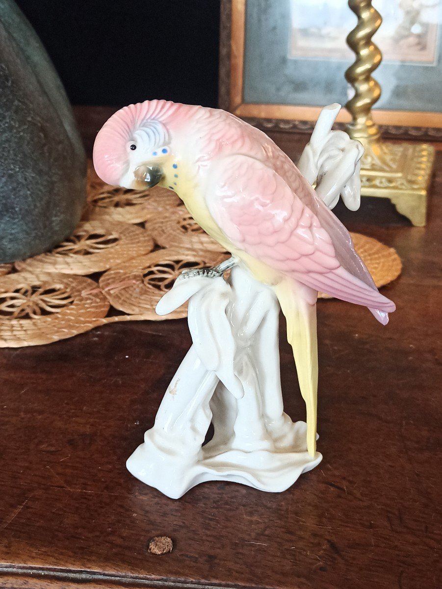 Saxon Porcelain Parakeet, Karl Ens Manufactory, Circa 1900