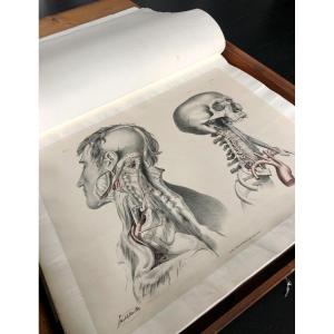 Great Book Of Human Anatomy - Sir Richard Quain & Joseph Maclise (1844)