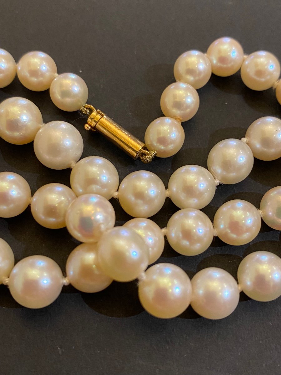 Catherine Deneuve Collection: Cultured Pearl Necklace, Gold Clasp -photo-4