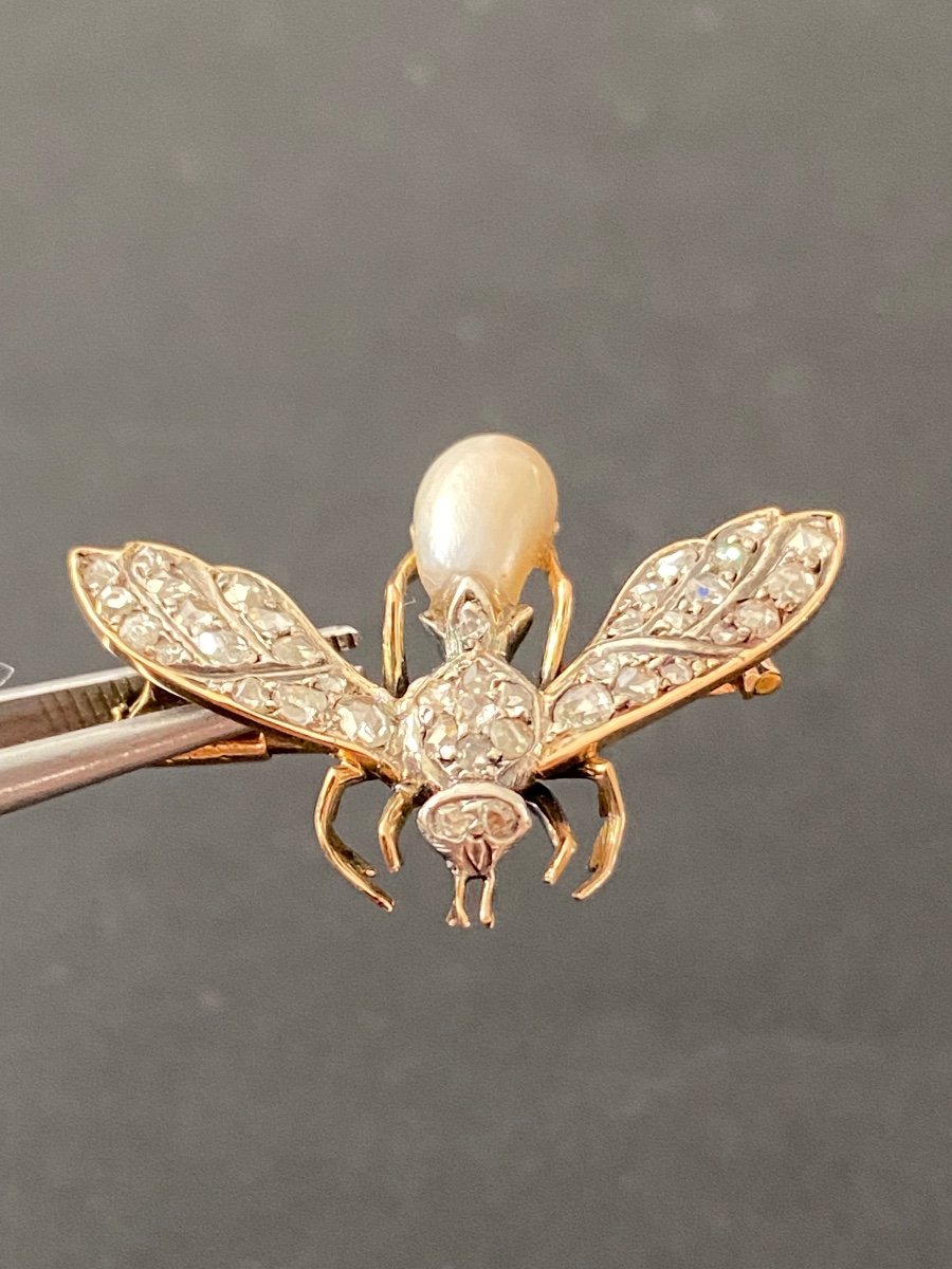 XIX siècle,  Broche Abeille En Or, Perle Fine Et Diamants -photo-2