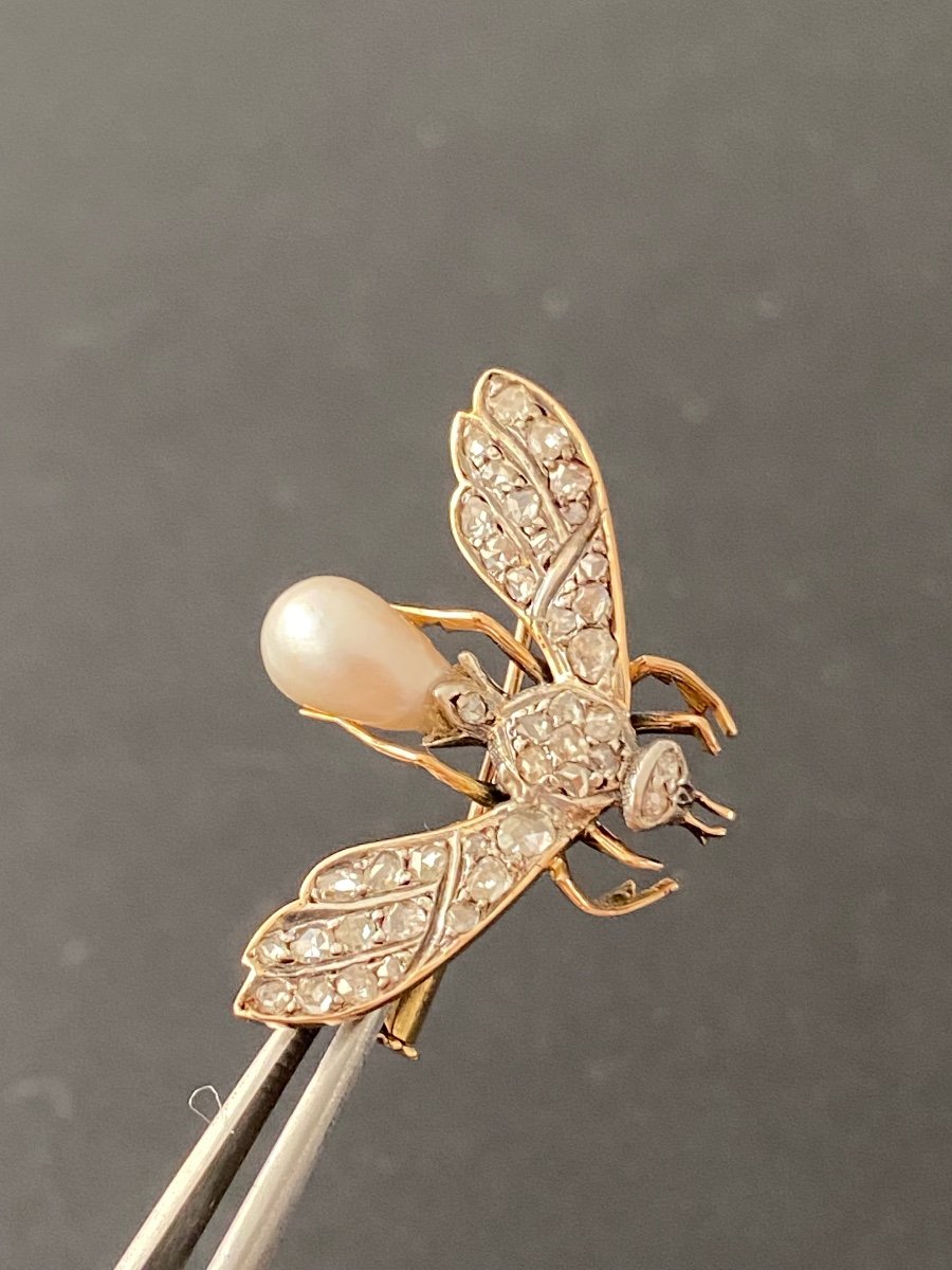 XIX siècle,  Broche Abeille En Or, Perle Fine Et Diamants -photo-3