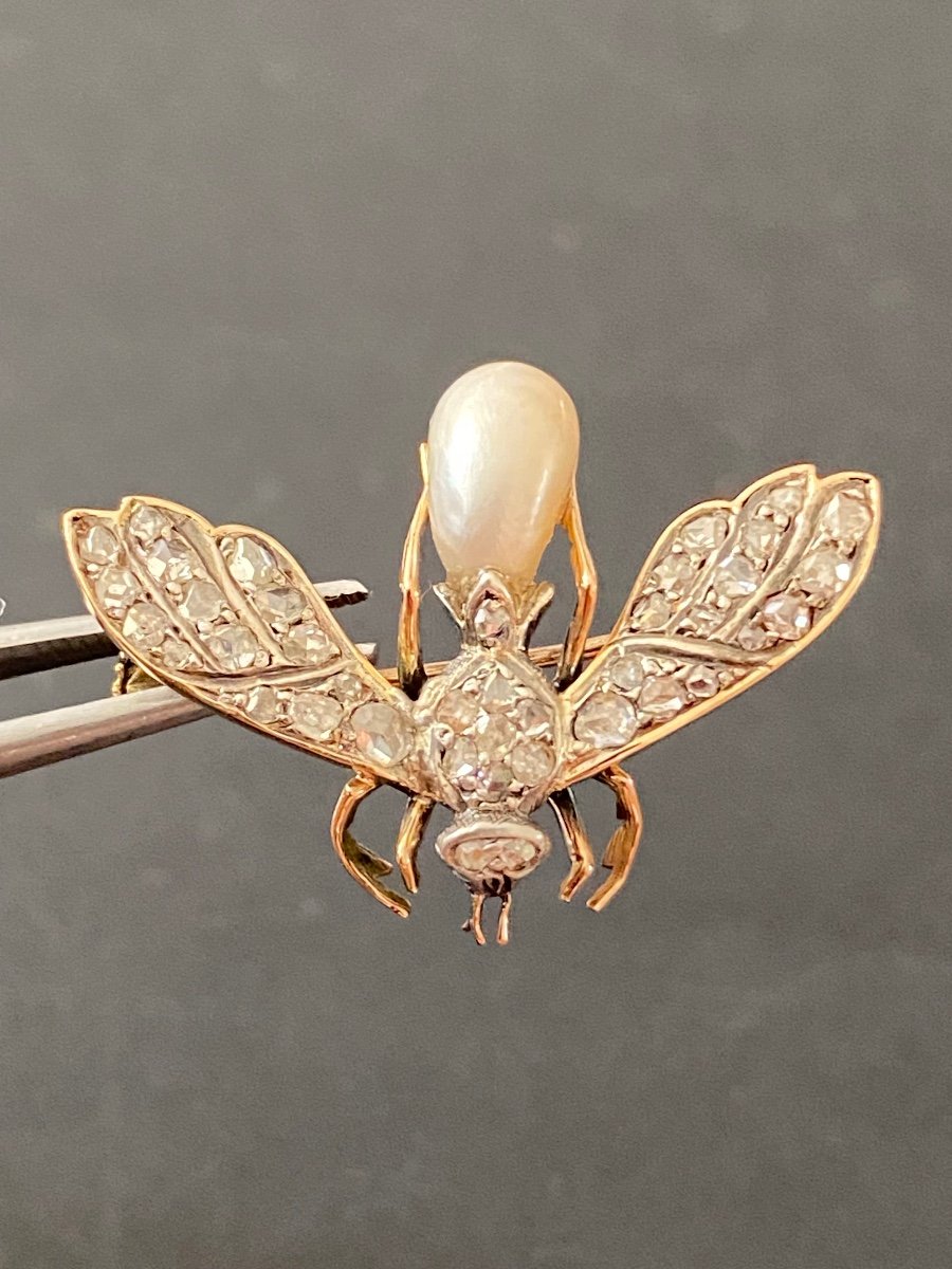 XIX siècle,  Broche Abeille En Or, Perle Fine Et Diamants 