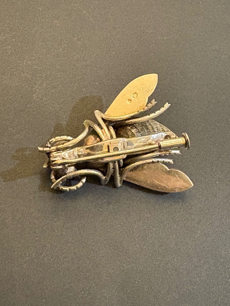 19th Century. Insect Brooch In 800/1000 Eme Silver.-photo-3