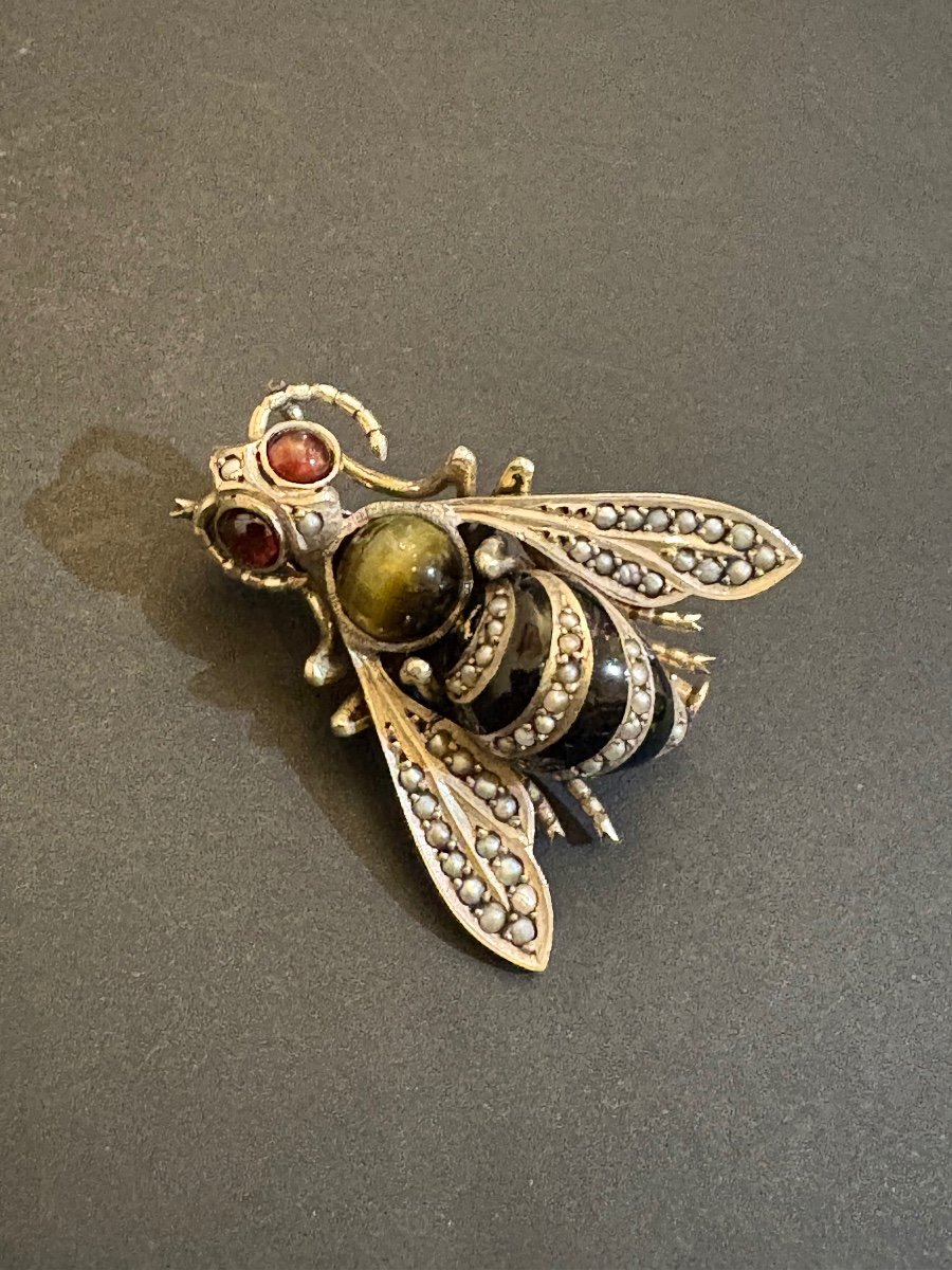 19th Century. Insect Brooch In 800/1000 Eme Silver.-photo-4