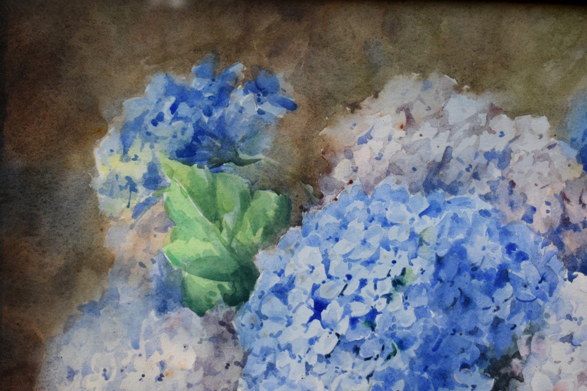 Watercolor, Bouquet Of Flowers "hydrangeas" Carved And Gilded Frame,-photo-3