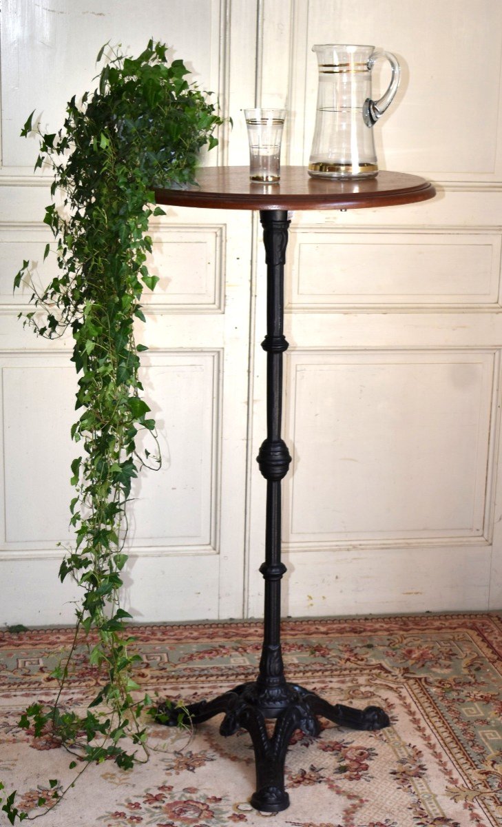 Coffee Table, Breakfast, Tea, Standing Table At Support Height, Plant Stand-photo-3