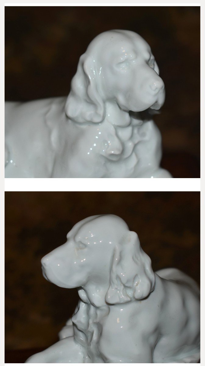 Sujet En Porcelaine Blanche  De Limoges, Statue Chien De Chasse  Haviland d'Après Jules Desbois-photo-5