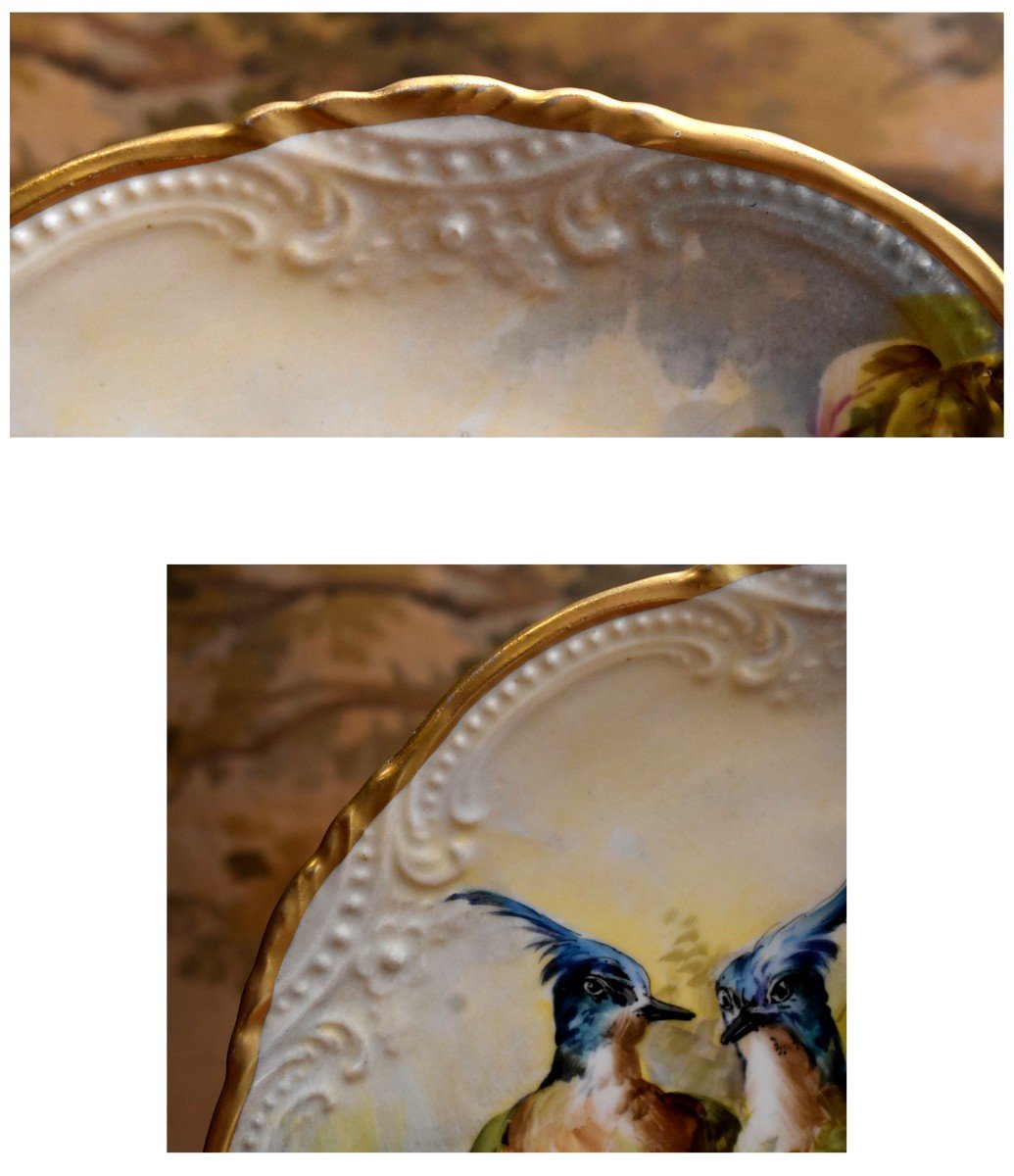 Golse , Grand Plat Décoratif En Porcelaine Maas Sigismond Limoges , Oiseaux , Peint Main , 1898-photo-6