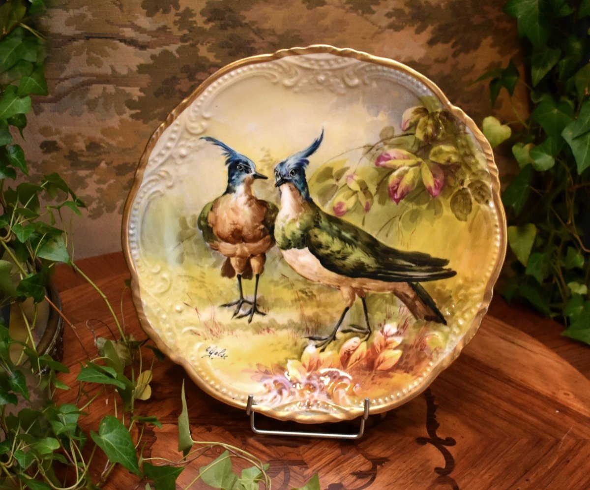 Golse , Grand Plat Décoratif En Porcelaine Maas Sigismond Limoges , Oiseaux , Peint Main , 1898