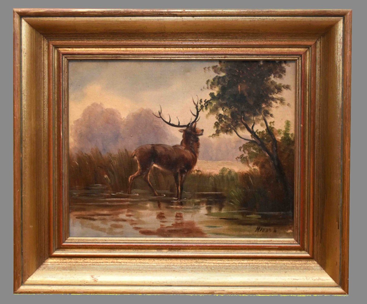 Paire De Tableaux,  Cerf S'abreuvant Dans Un étang, Paysages Encadrés, -photo-3