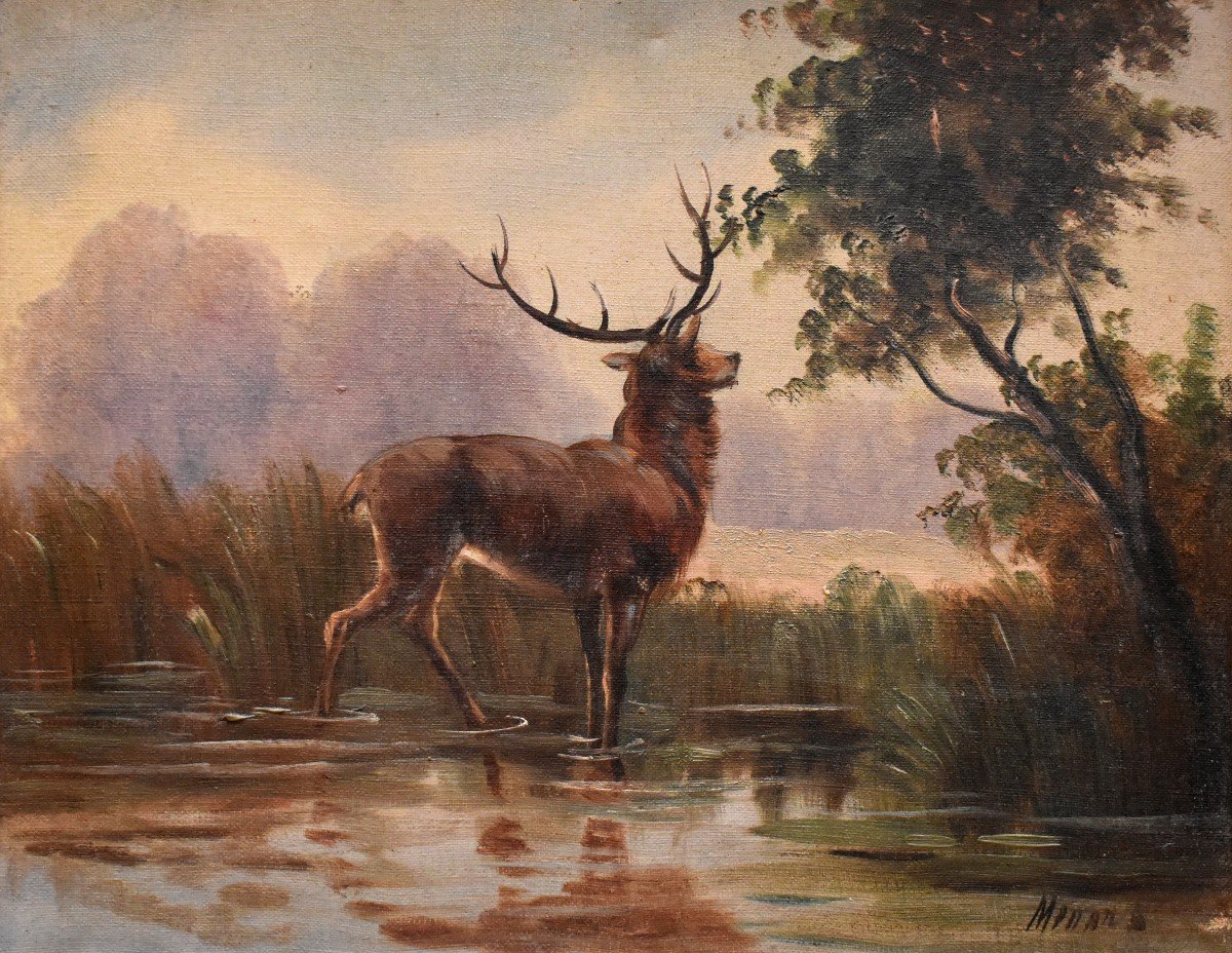 Paire De Tableaux,  Cerf S'abreuvant Dans Un étang, Paysages Encadrés, -photo-3