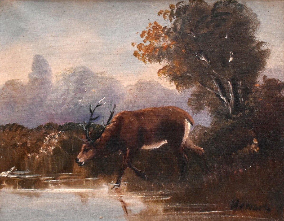 Paire De Tableaux,  Cerf S'abreuvant Dans Un étang, Paysages Encadrés, -photo-4