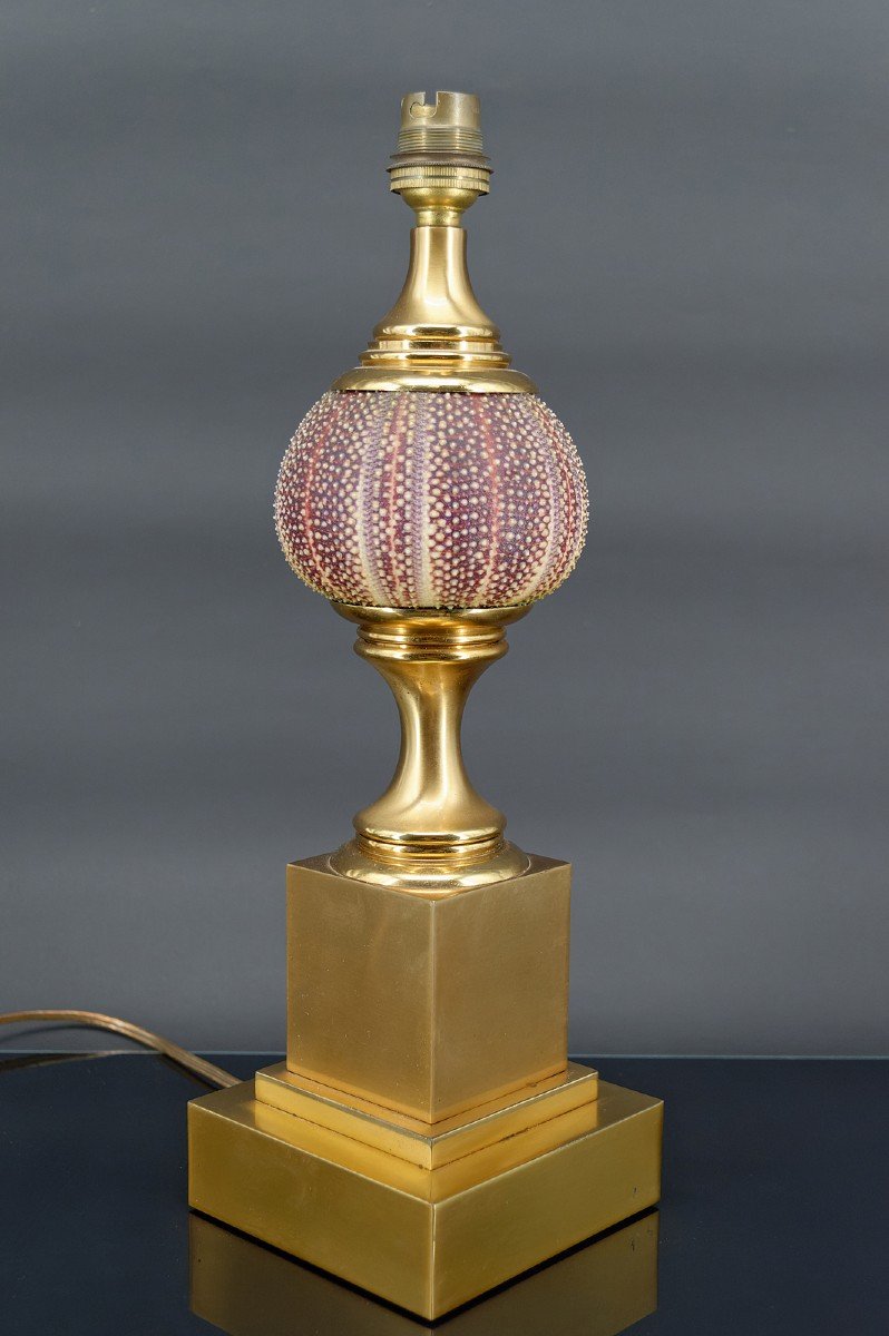 Maison Charles Lamp, Pink Sea Urchin And Gilt Bronze, France, Circa 1960-photo-4