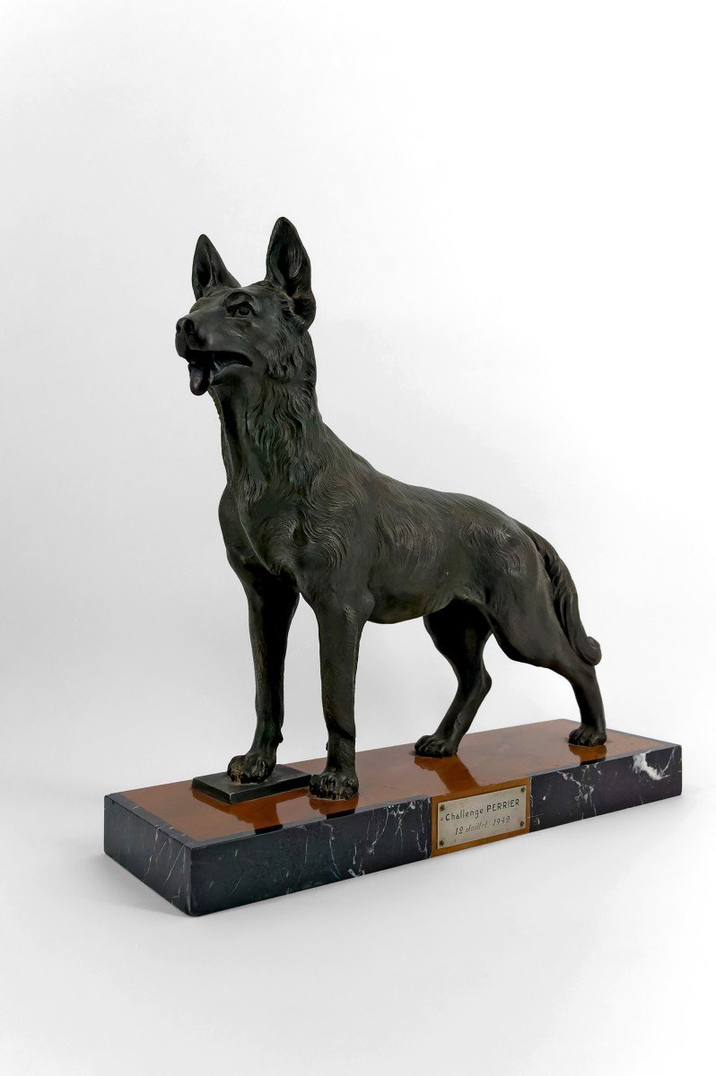 Importante Sculpture Représentant Un Berger Allemand, Trophée Pour Le Challenge Perrier, 1942