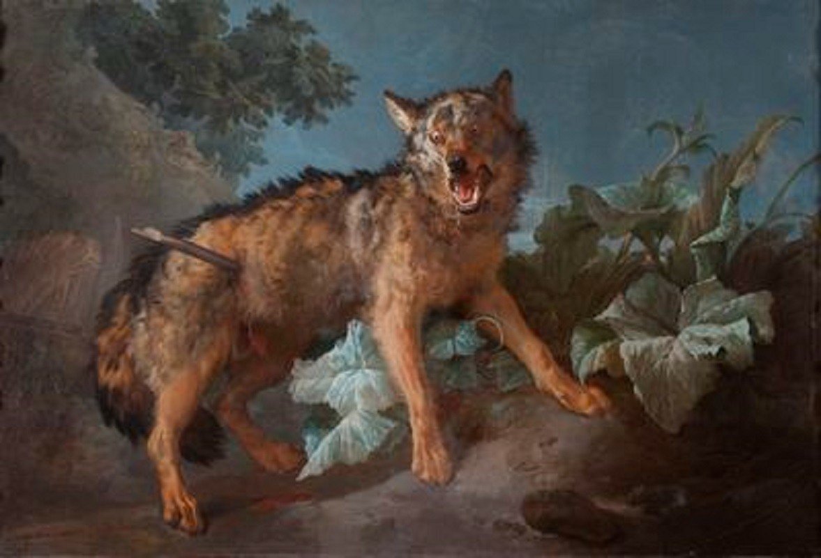 Huet - Loup - Rare épreuve Sur Papier Vélin, C. 1810-photo-4