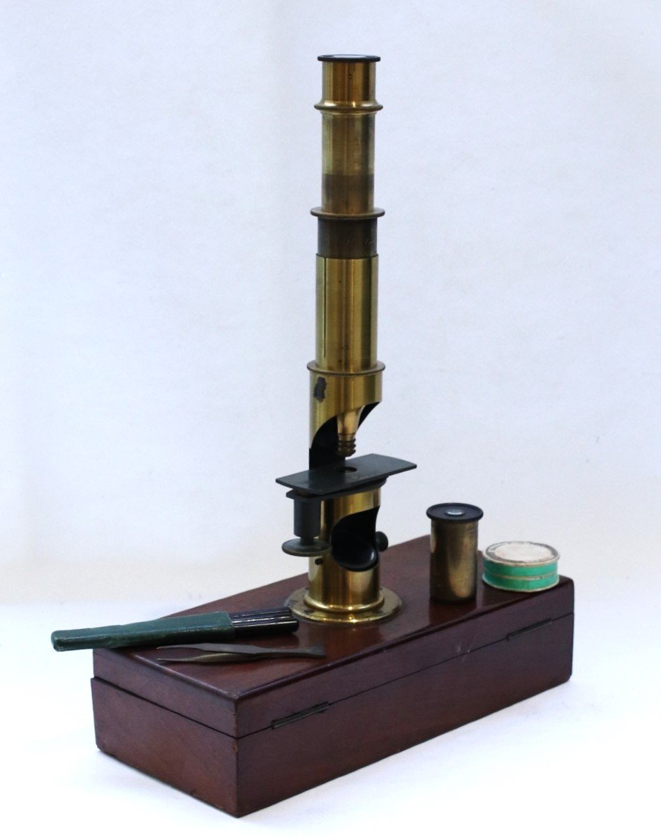 Microscope Tambour Par Hartnack, Circa 1860