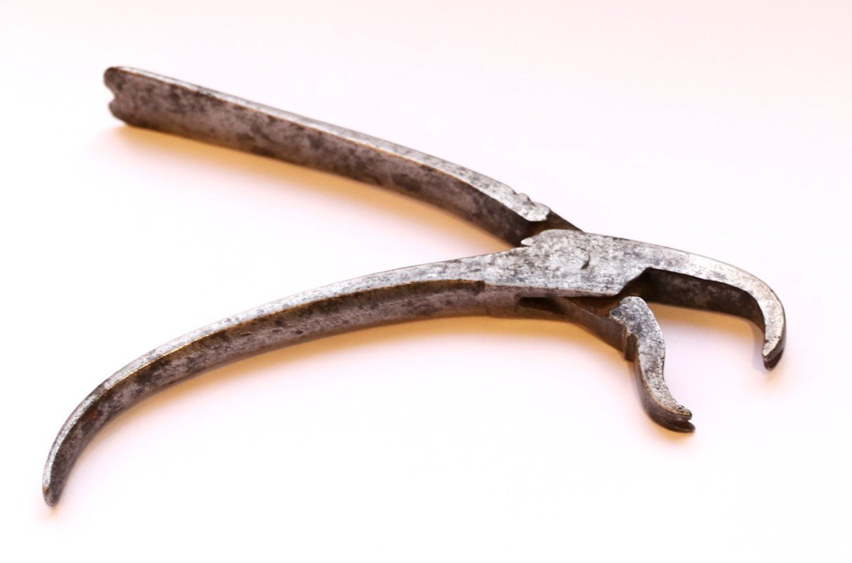 Dental Forceps Or Clamps, Late 17th Century-photo-2