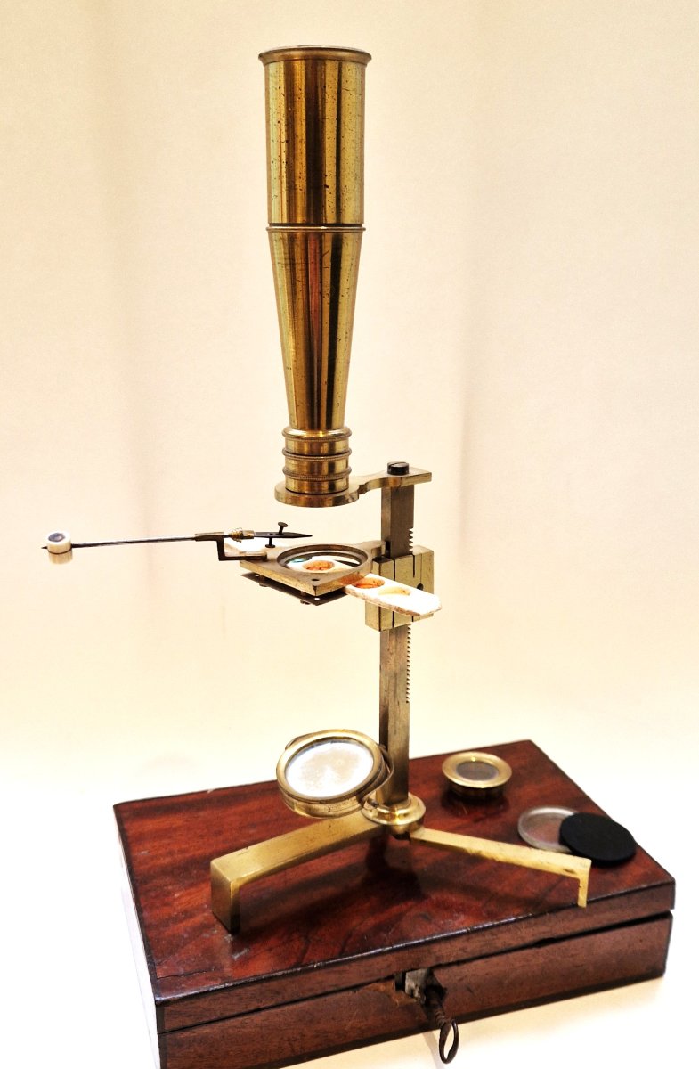 Dowling - Microscope De Voyage, Circa 1825-photo-4