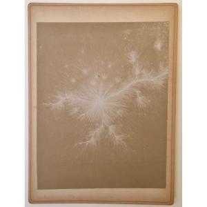 Photogram Of An Electric Spark - C. 1890