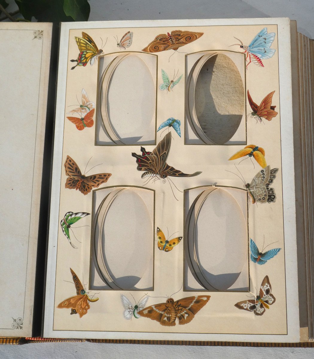 Album Photographique , Photos XIXe Style Napol&eacute;on III , D&eacute;cor d&#039;Insectes Japonisant Art Nouveau-photo-3