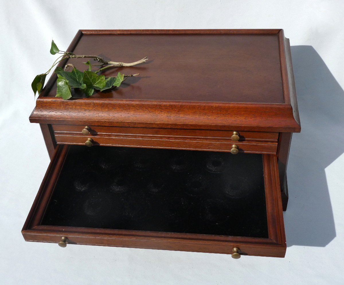 Suitcase Trunk Medallier Mahogany Period 1950 Jeweler Business Object Box Medal Box-photo-2