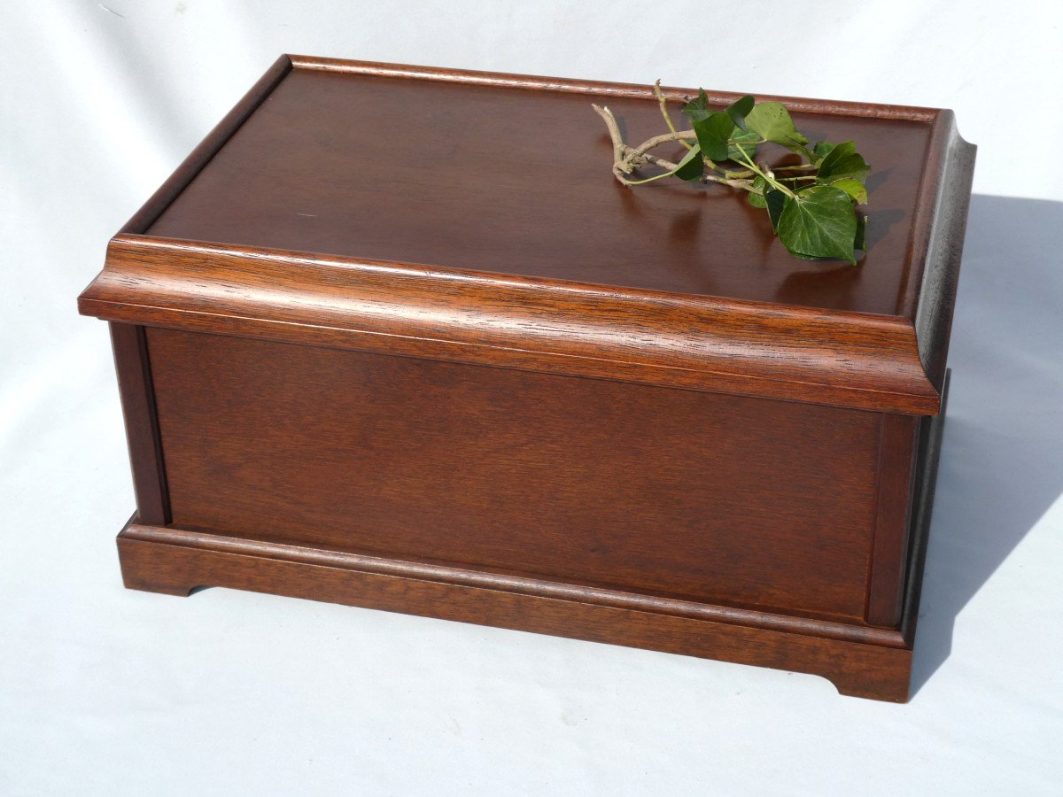 Suitcase Trunk Medallier Mahogany Period 1950 Jeweler Business Object Box Medal Box-photo-4