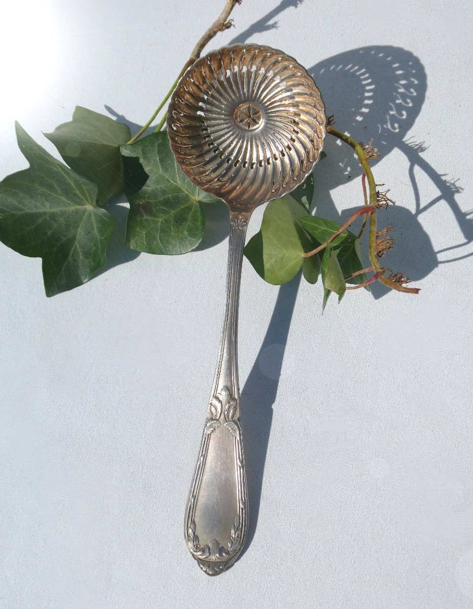 Dessert / Fruit Service, Menagere In Silver Metal In Its Case, Spoon To Sprinkle 1-photo-3