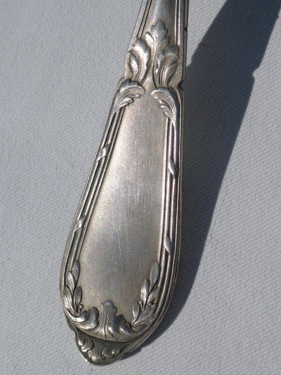 Dessert / Fruit Service, Menagere In Silver Metal In Its Case, Spoon To Sprinkle 1-photo-4