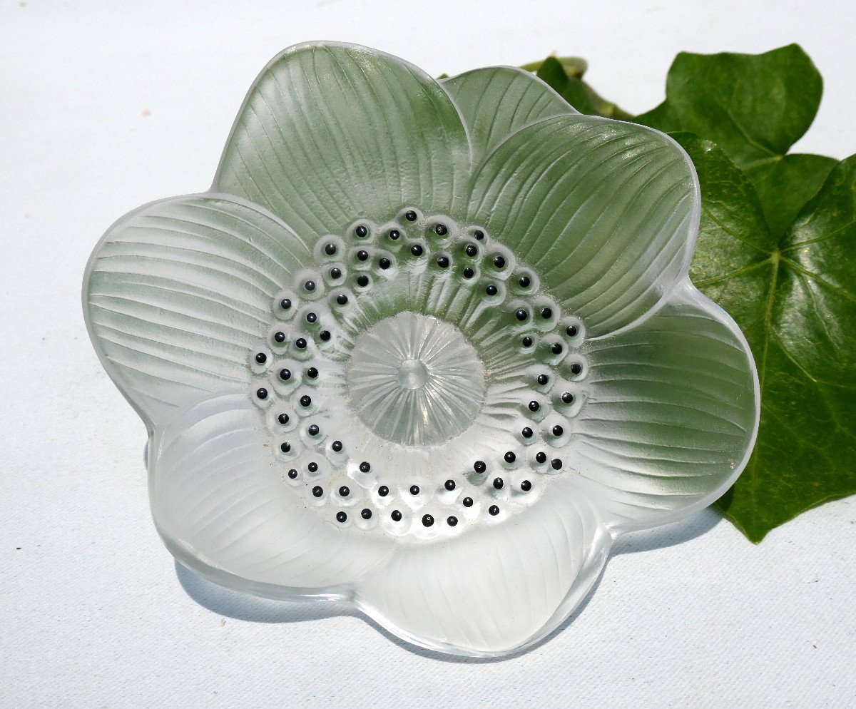 Paperweight, Lalique Crystal Flower, Art Deco Style Anemone-photo-4