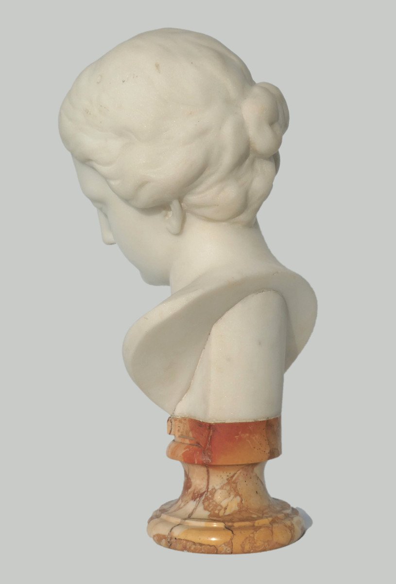 White Carrara Marble Bust, Young Woman In Antique Style, 19th Century Renaissance, Wicar Lille-photo-1