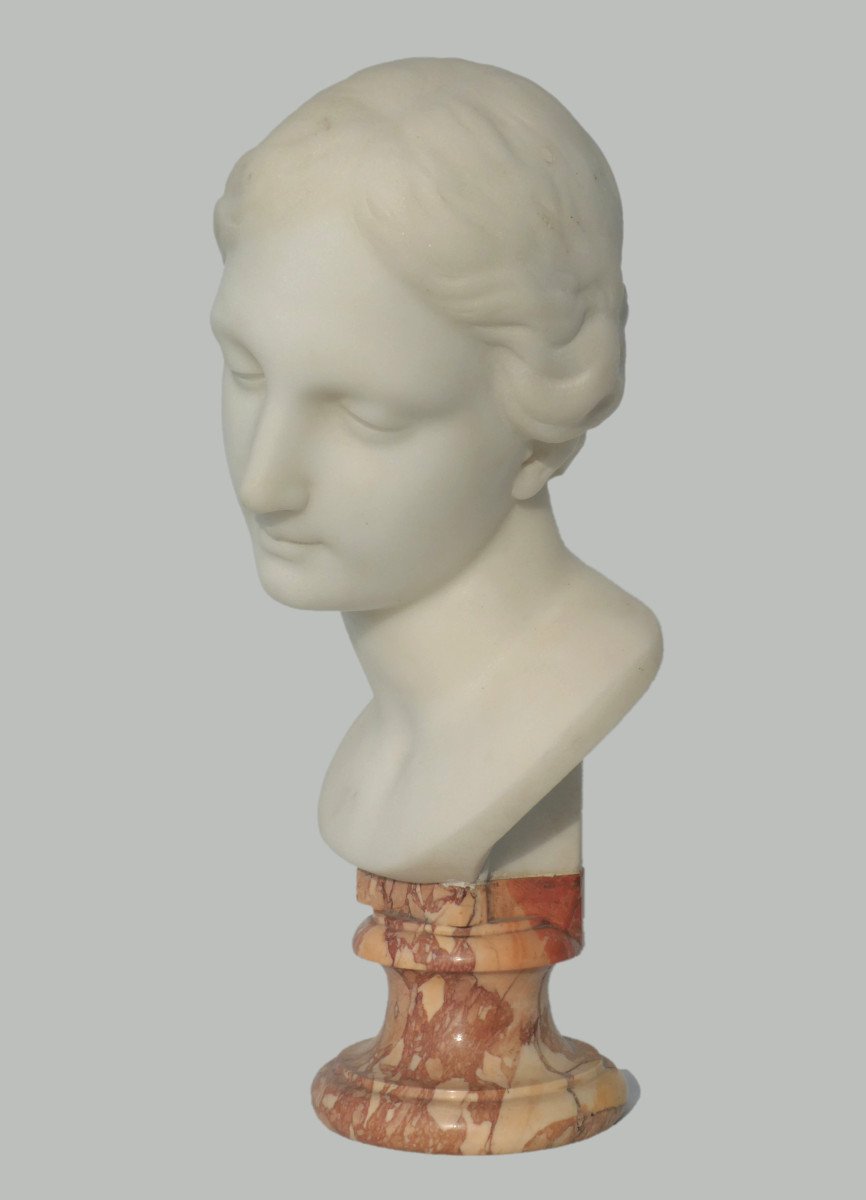 White Carrara Marble Bust, Young Woman In Antique Style, 19th Century Renaissance, Wicar Lille-photo-2