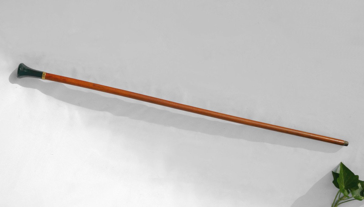 Walking Cane, Late 19th Century Period, Sanguine Jasper And Gold Handle, Dandy Accessory-photo-2