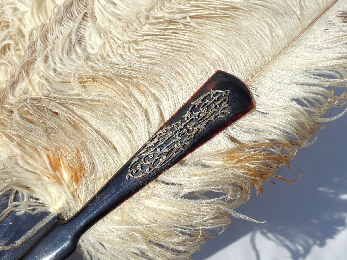 Large Ball Fan In Ostrich Feathers & Tortoise Shell 19th Century Paris Templar Fan-photo-2