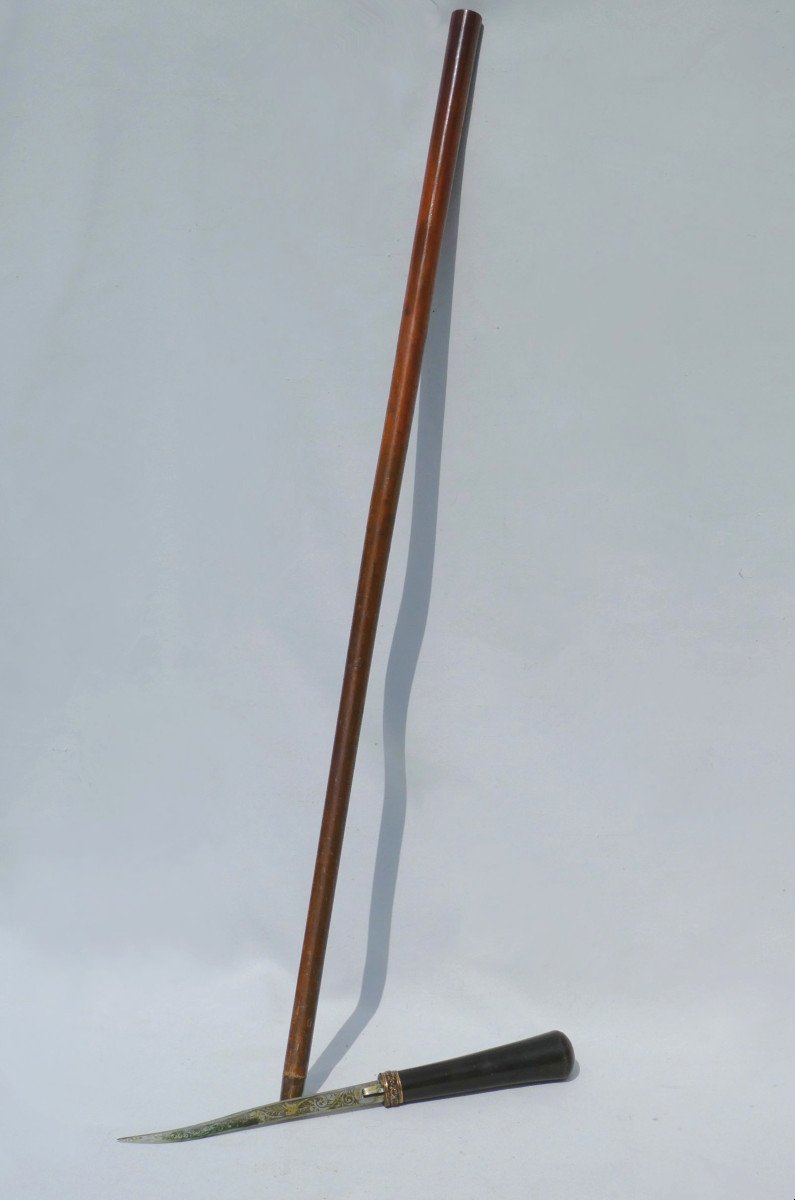 Cane With Sword / Dagger System, Malacca Jonc, 19th Century Period, Engraved Blade -photo-2