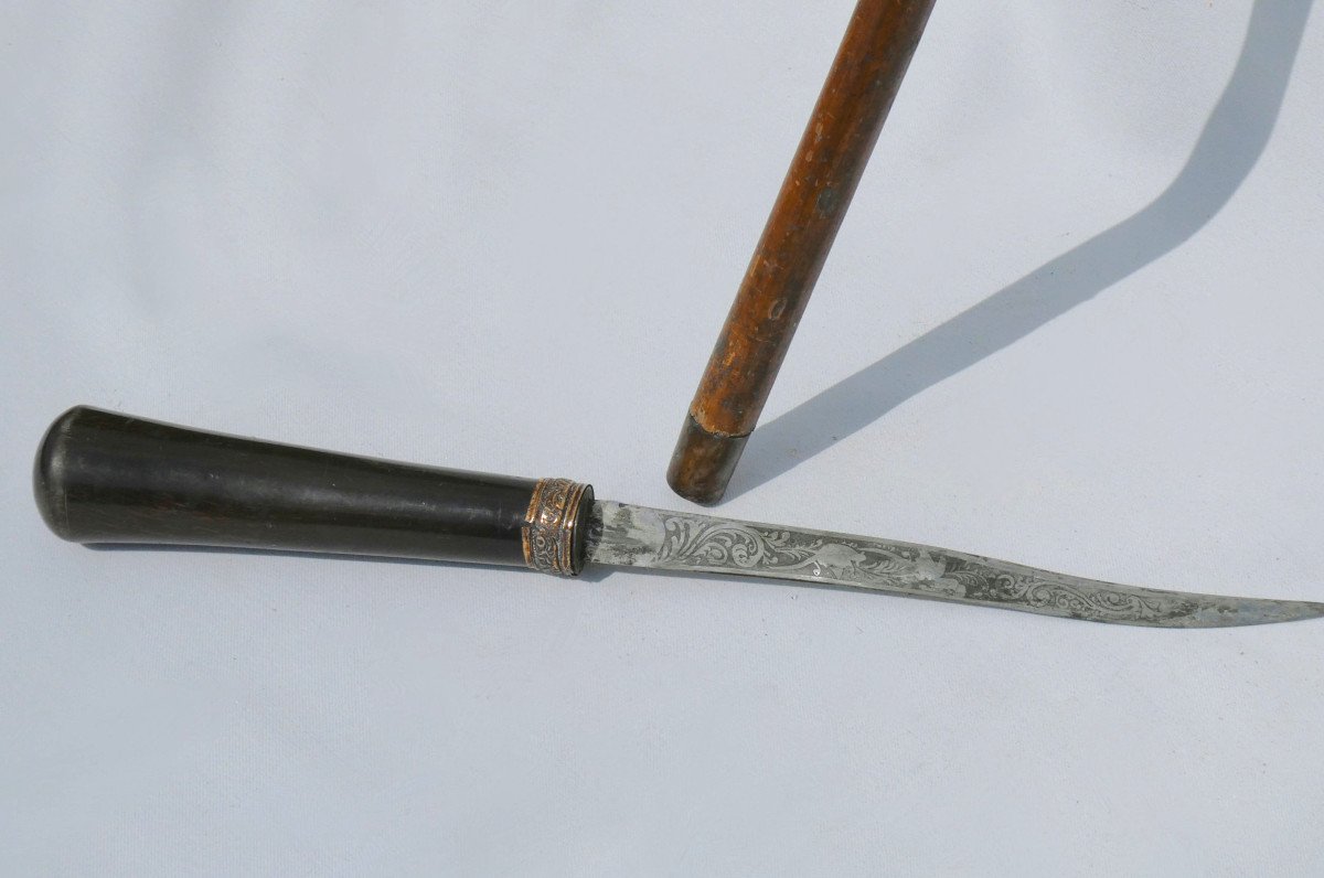 Cane With Sword / Dagger System, Malacca Jonc, 19th Century Period, Engraved Blade 