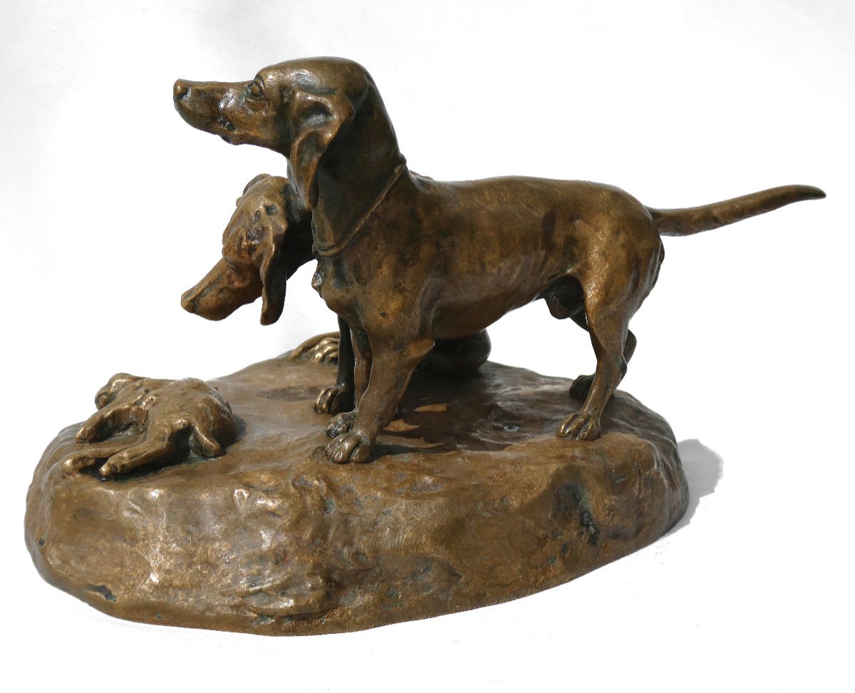 Sculpture En Bronze Patiné , Sujet Animalier , Deux Chiens De Chasse époque XIXe Siecle , Signé-photo-3