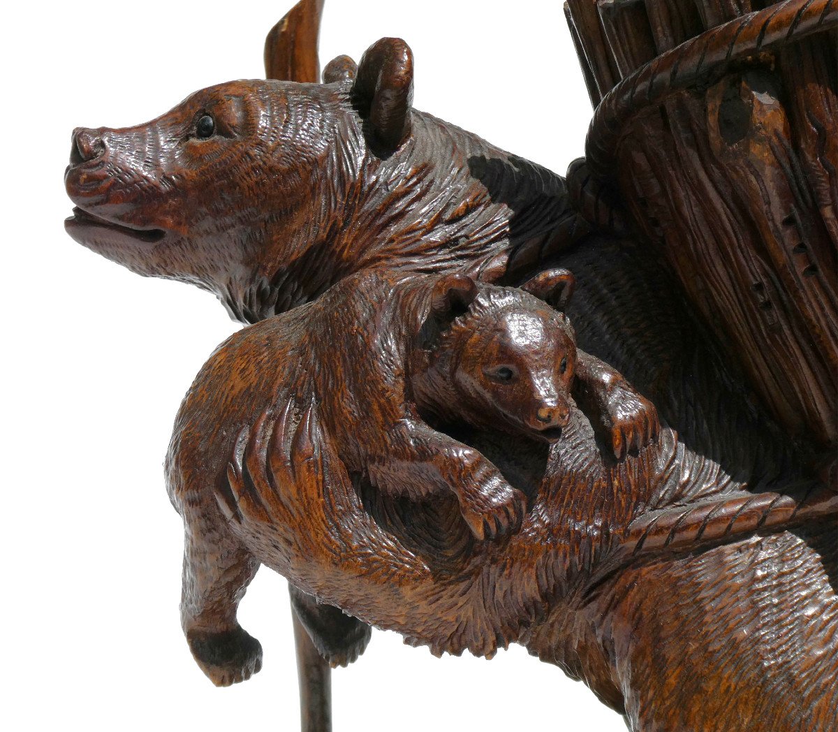 Wooden Sculpture, Black Forest Bear, Berne Work, Sulphide Eyes, 19th Century Empty Pocket-photo-4