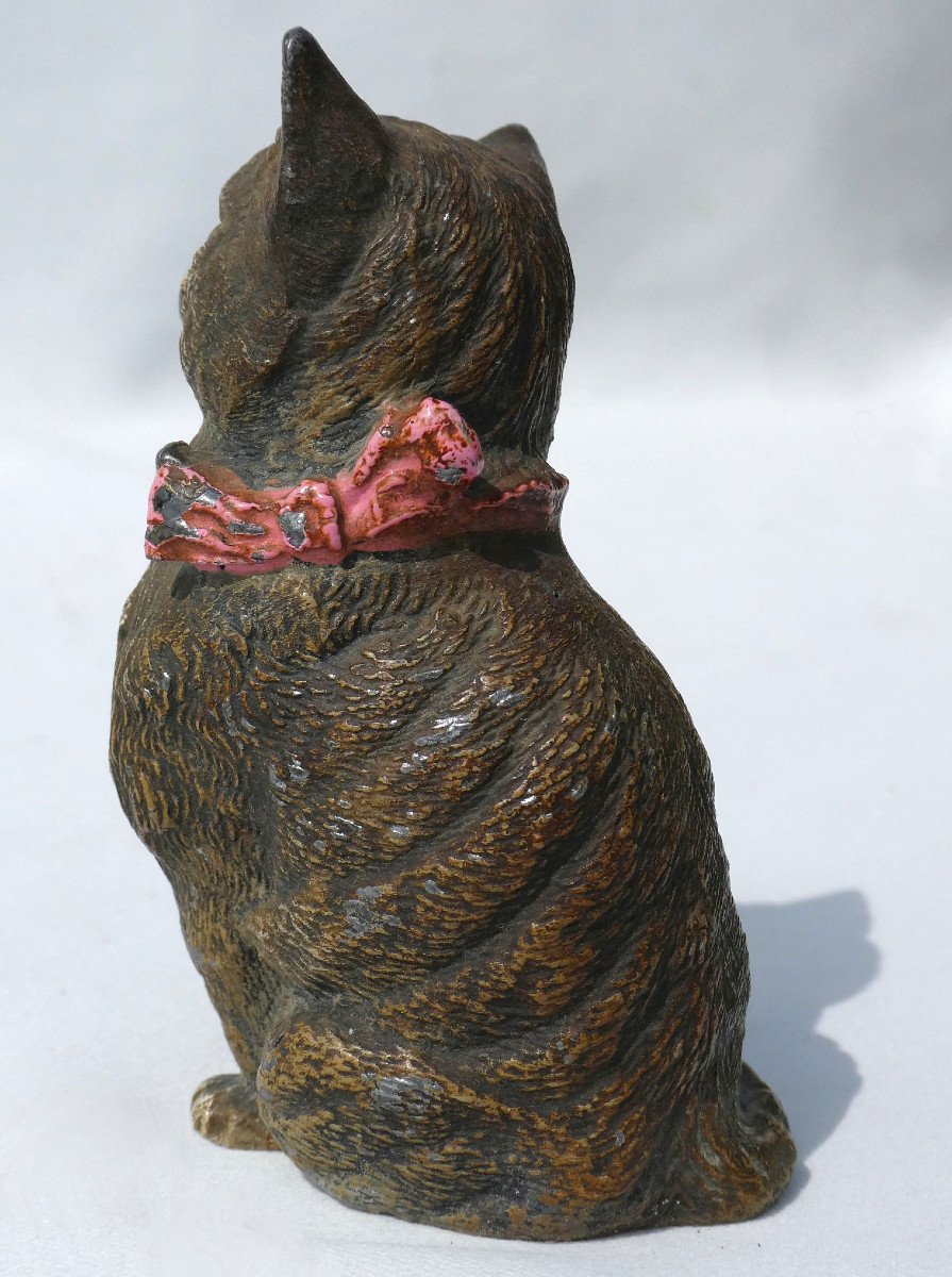 Lead Sculpture From Nuremberg, Cat With Ribbon 19th Century, Vienna Bronze Style -photo-4