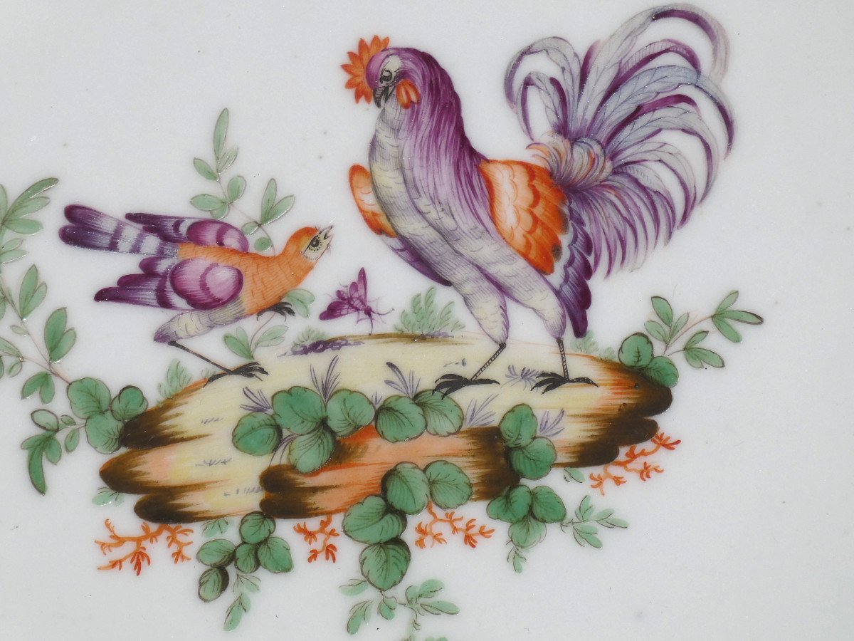 Serie De Six Assiettes En Porcelaine De Lille , Manufacture Au Dauphin , Décor d'Oiseaux XVIIIe-photo-6