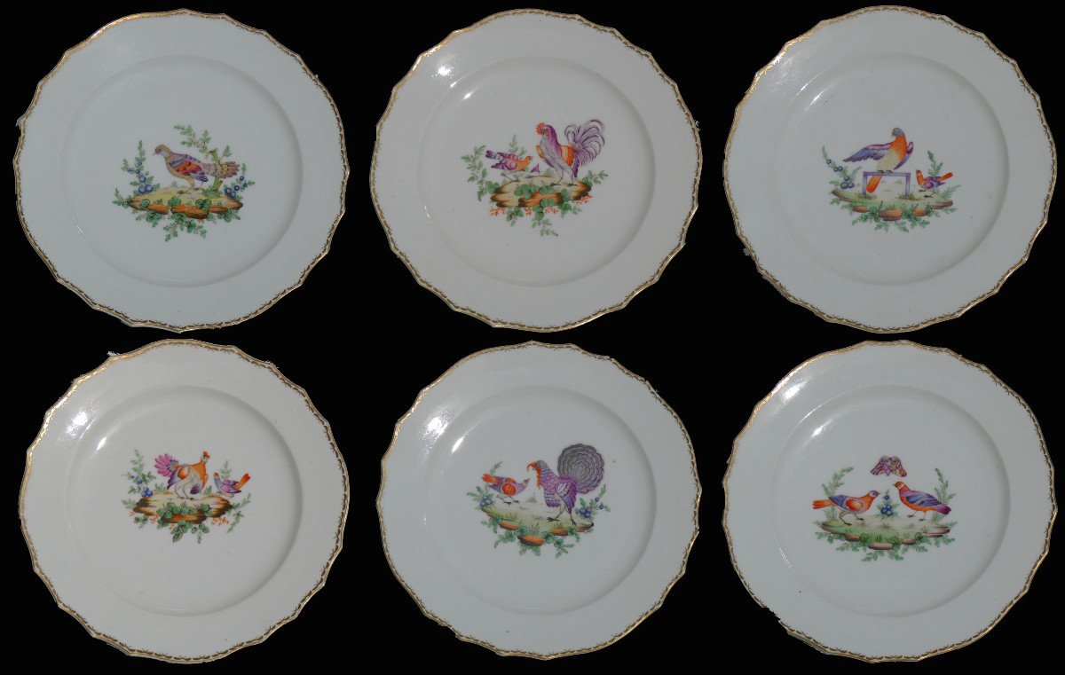 Series Of Six Lille Porcelain Plates, Manufacture Au Dauphin, 18th Century Bird Decor