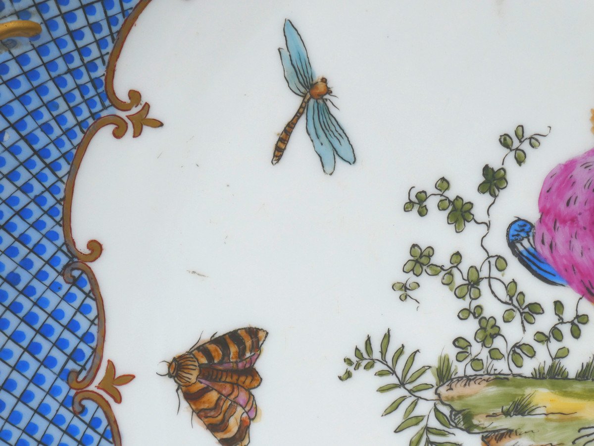 Large 19th Century Porcelain Dish Herend Rothschild, 18th Century Style Decor Of Birds & Butterflies -photo-3