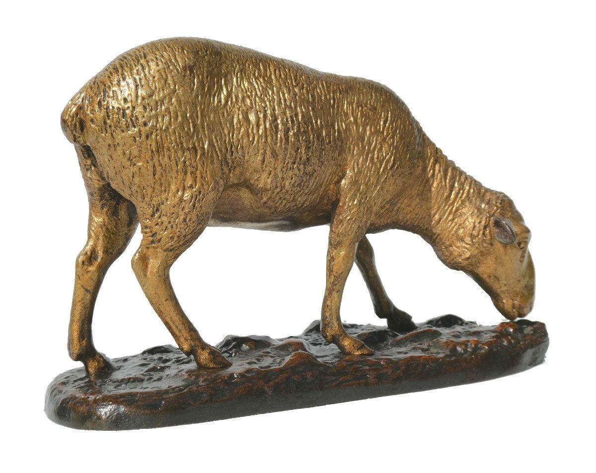 Animal Bronze, Napoleon III Period Sculpture, Grazing Sheep, 19th Century Signed Emile Lienard-photo-1