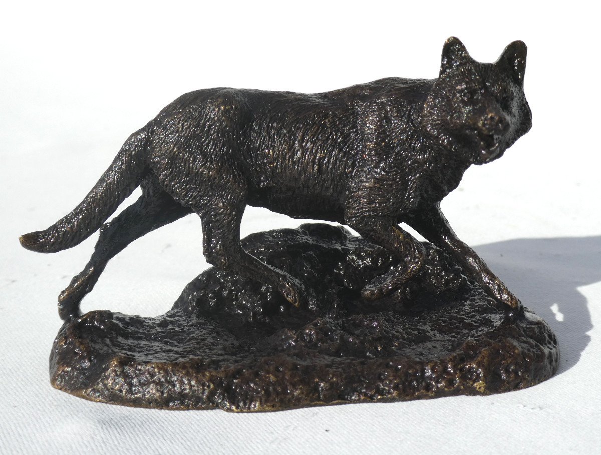 Bronze Animalier , Renard d'Islande Par Pierre Jules Mene , XIXe , Fonte Au Sable 